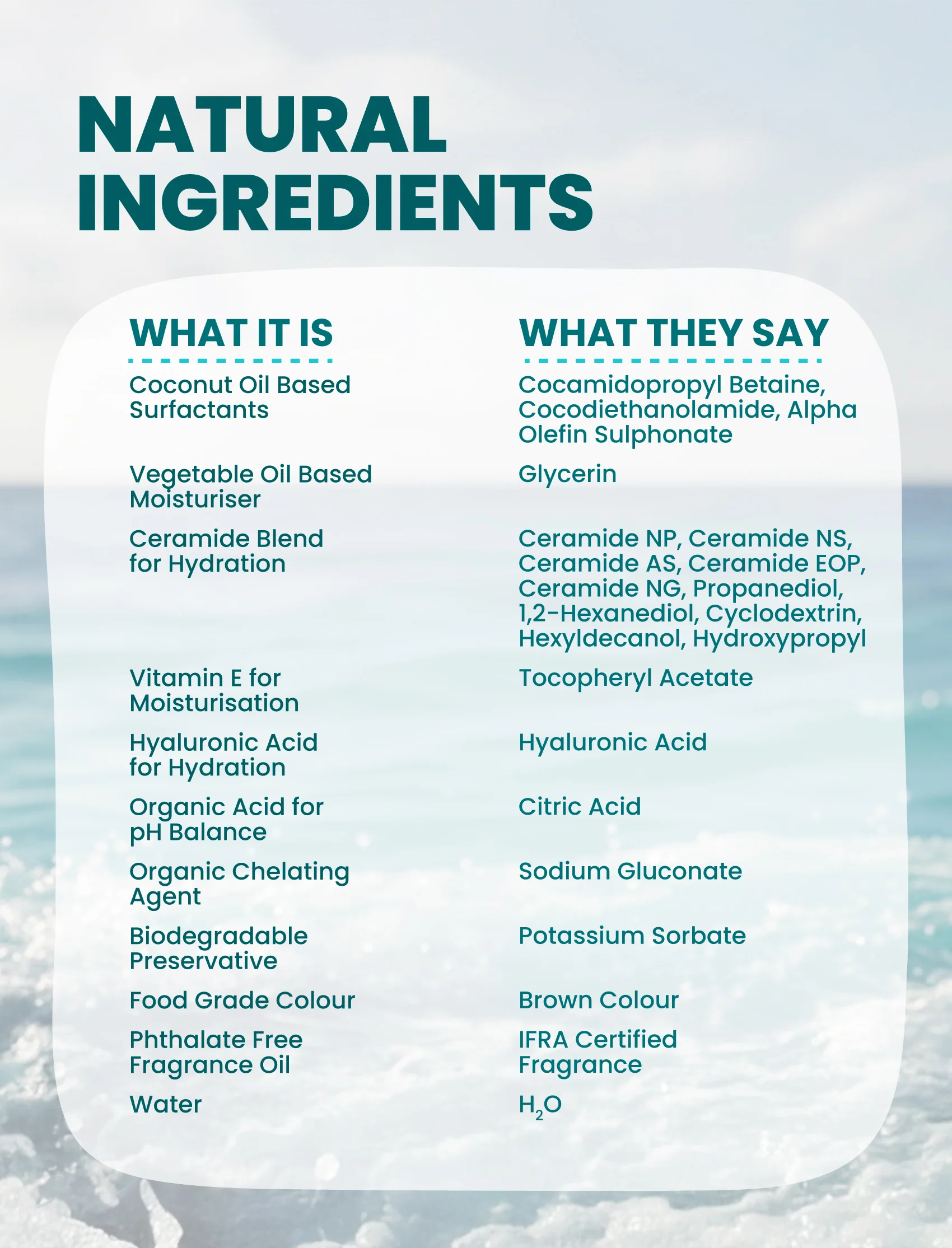 Gentle & Hydrating Liquid Handwash | Ocean Breeze Fragrance - Image 6